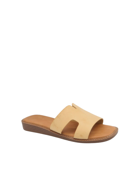 Les Alizés Estivaux