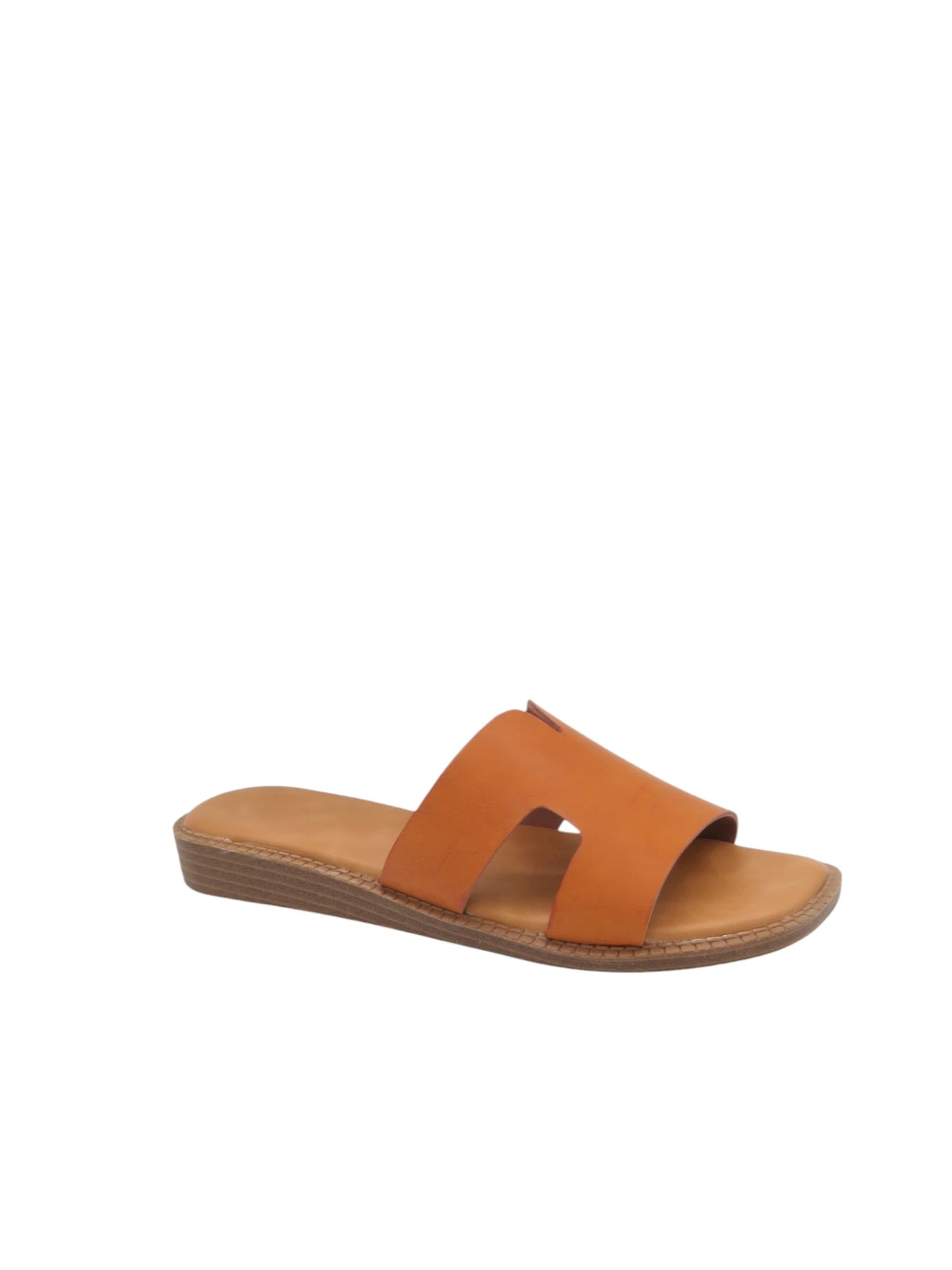 Les Alizés Estivaux